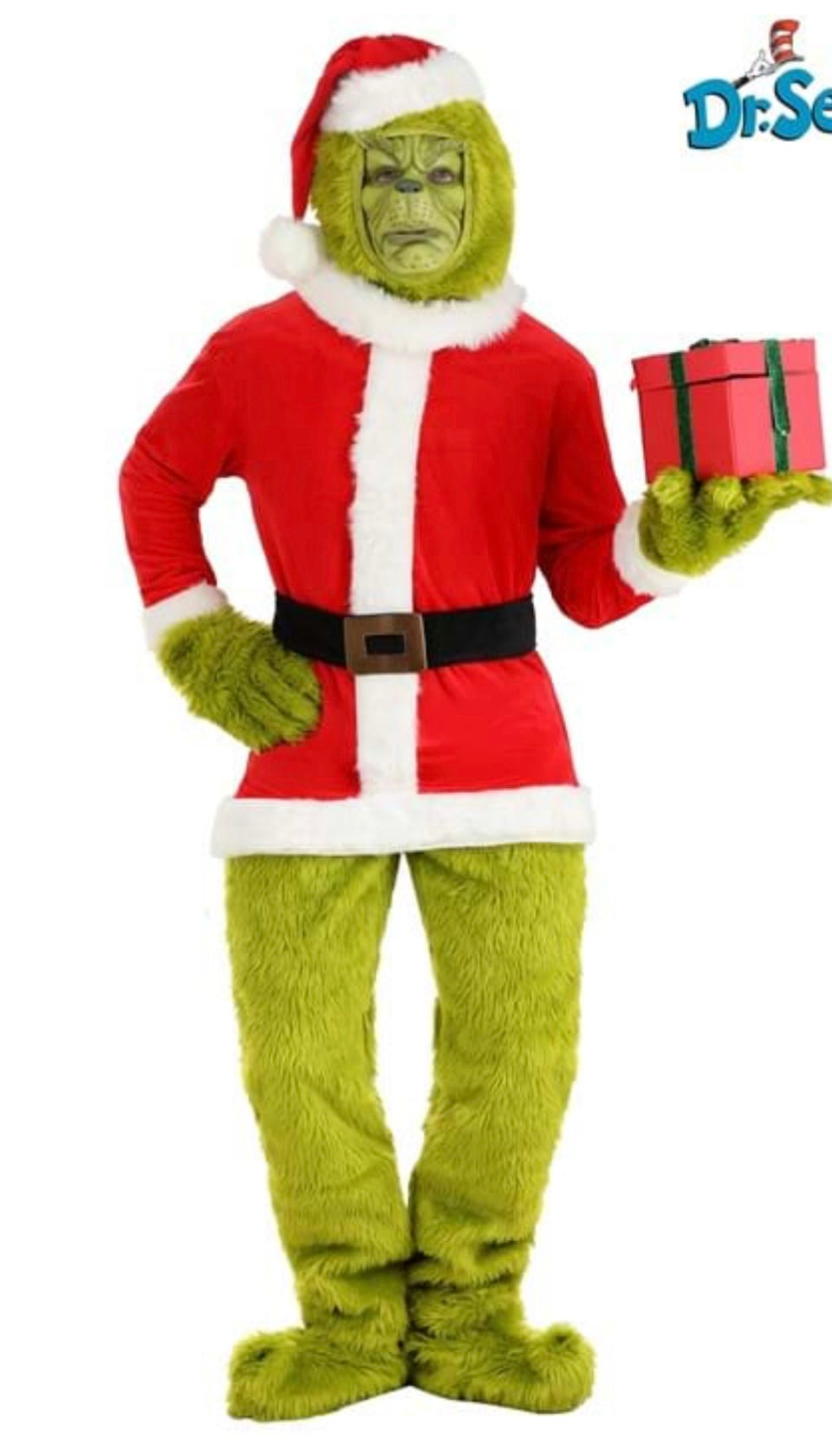 THE GRINCH COSTUME