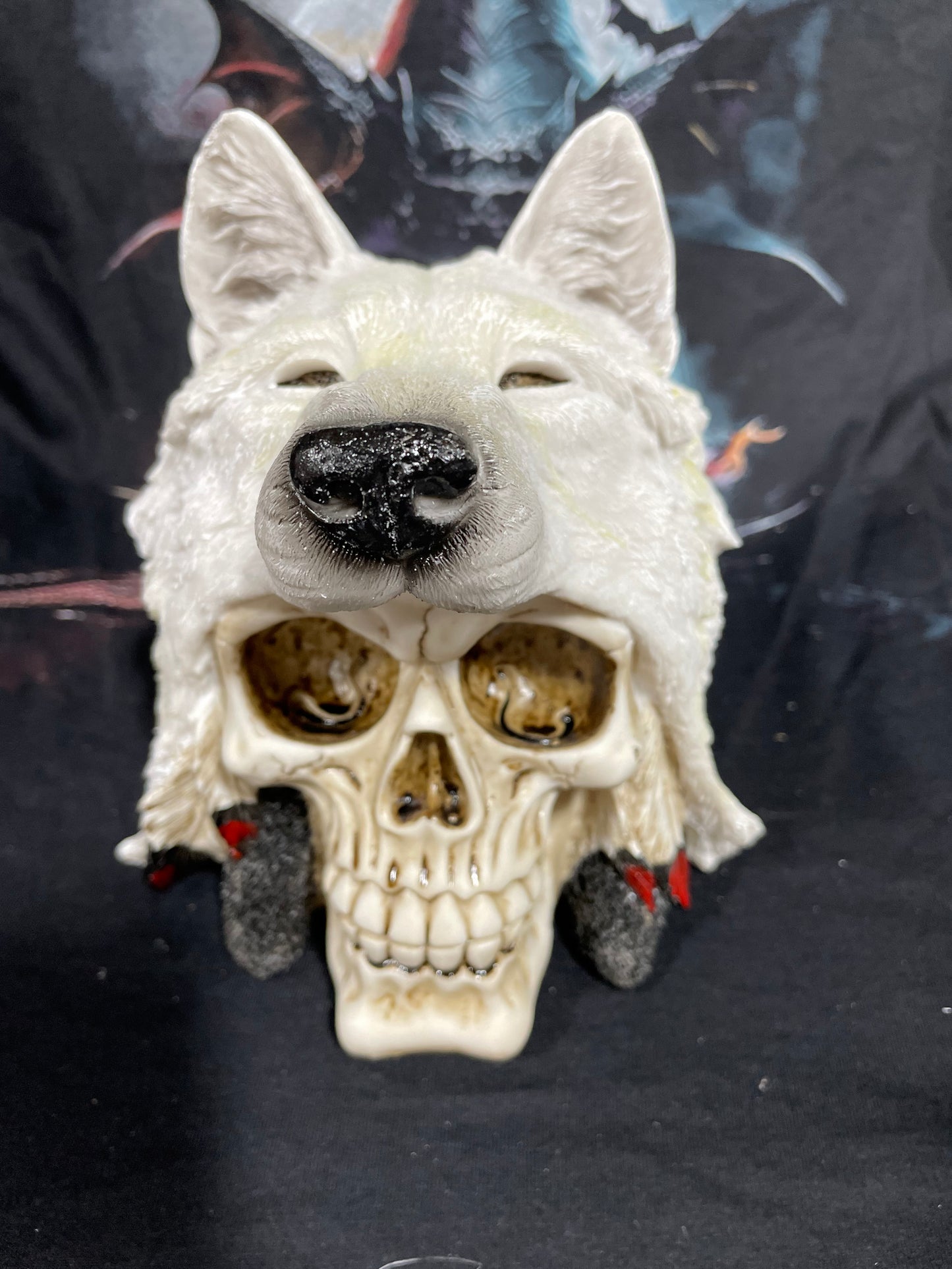 WHITE WOLF SKULL
