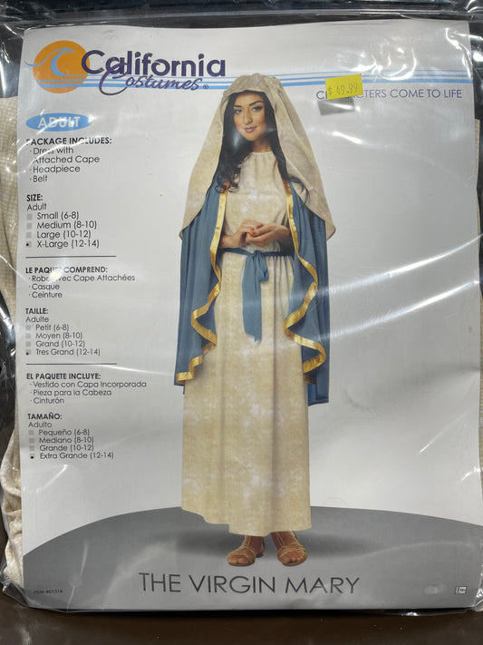 The Virgin Mary Costume