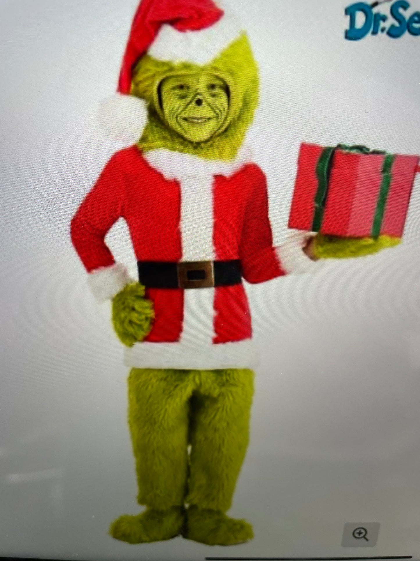 THE GRINCH COSTUME