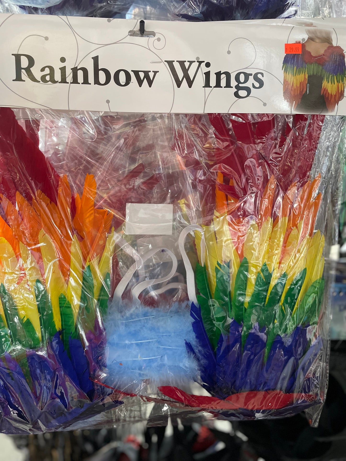 RAINBOW WINGS