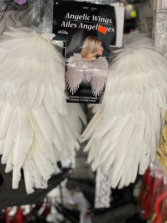 ANGELIC WINGS