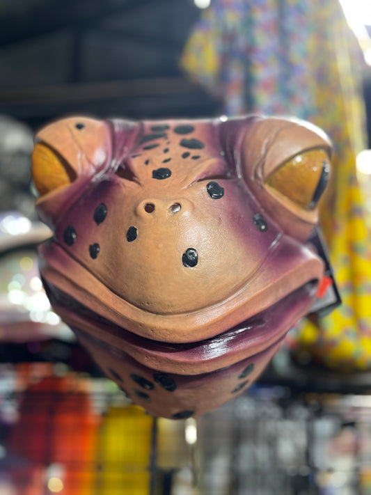 AGENT TOAD MASK