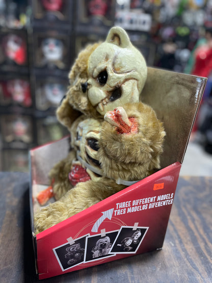 CREEPY LITTLE TEDDY'S TEDDY BEAR