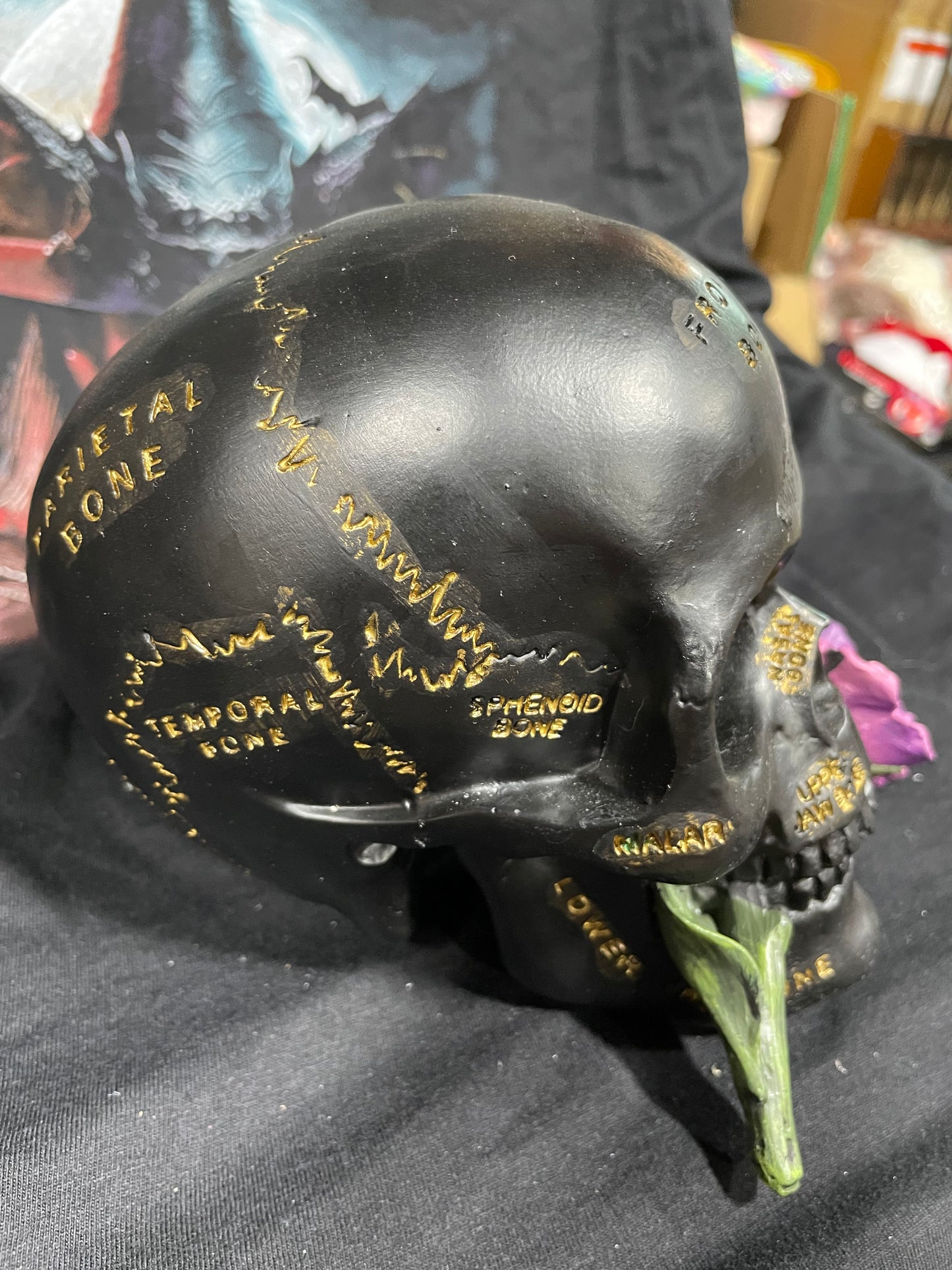 BONE SKULL