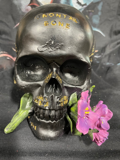 BONE SKULL
