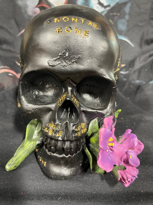 BONE SKULL
